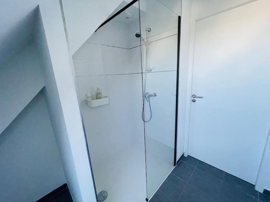 Appartement Lumineux Et Spacieux, Terrasse Et Parking Prive 孔卡尔诺 外观 照片